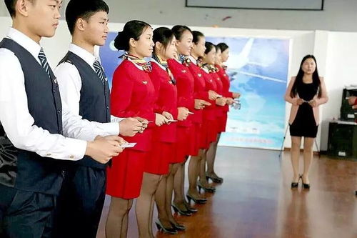服務(wù)禮儀實戰(zhàn)訓(xùn)練指南 從理論到行動的干貨寶典